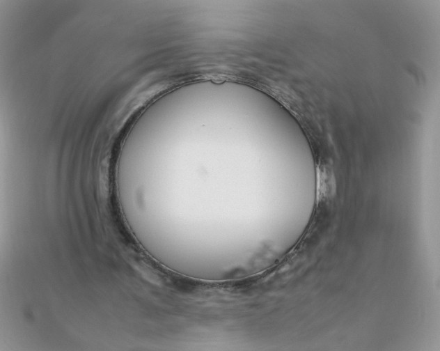 X0000112370291200909031937