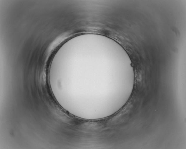 X0000112370294200909031937