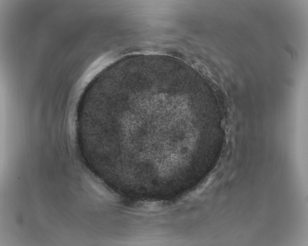 X0000112370295200909031937