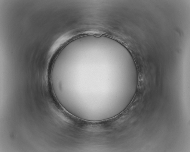 X0000112370296200909031937