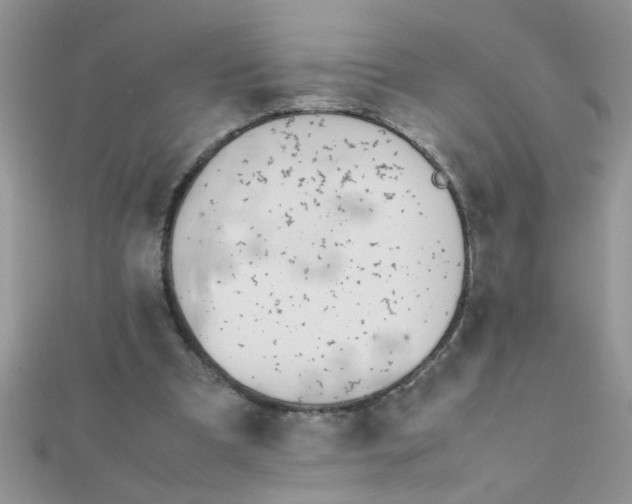 X0000112370297200909031937