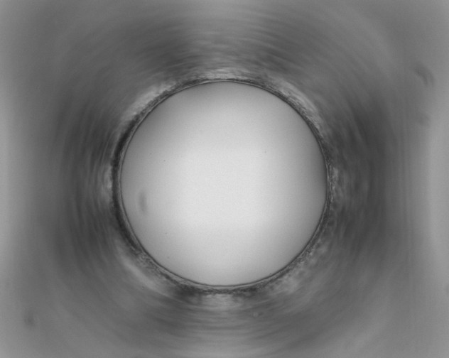 X0000112370298200909031937