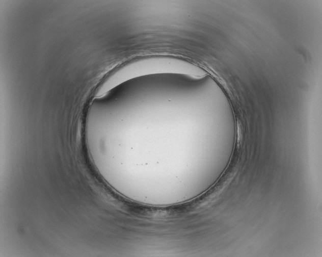 X0000112370301200909031937