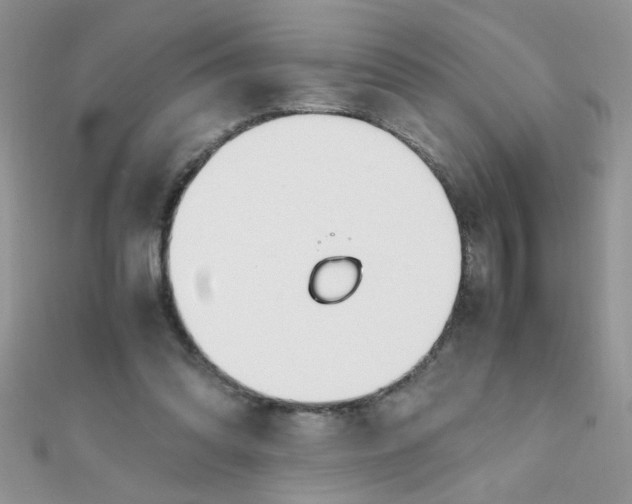 X0000112370302200909031937
