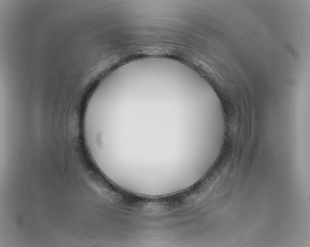 X0000112370303200909031937
