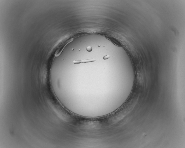 X0000112370304200909031937