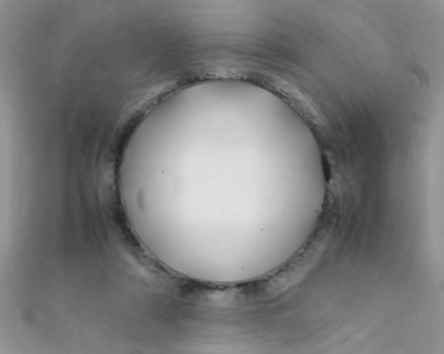 X0000112370306200909031937