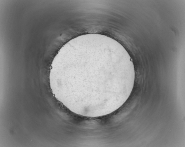 X0000112370307200909031937