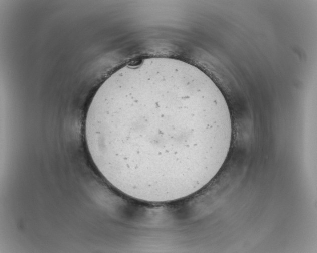 X0000112370309200909031937