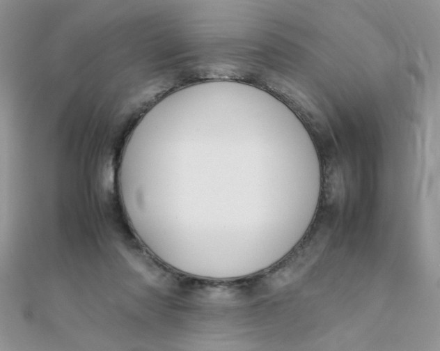 X0000112370310200909031937