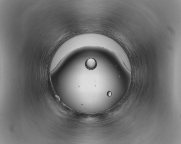 X0000112370312200909031937