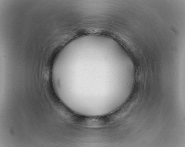 X0000112370315200909031937
