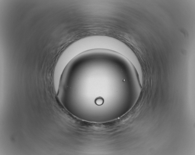 X0000112370317200909031937