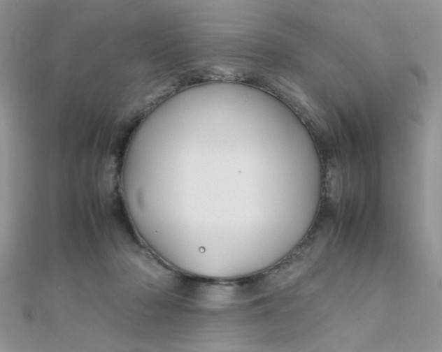 X0000112370318200909031936