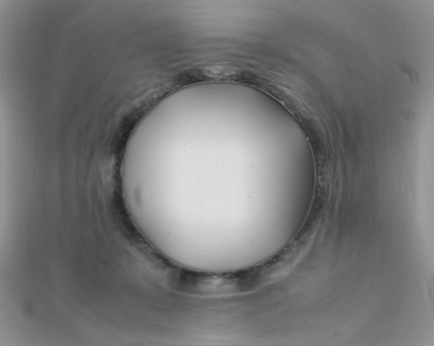 X0000112370319200909031936