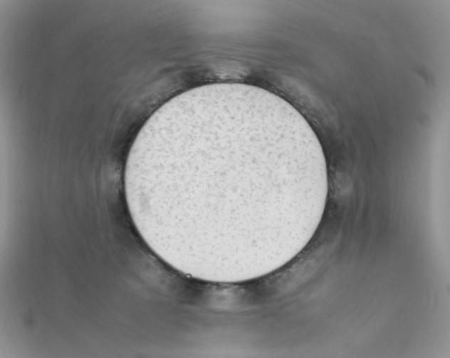 X0000112370321200909031936