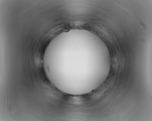 X0000112370324200909031936