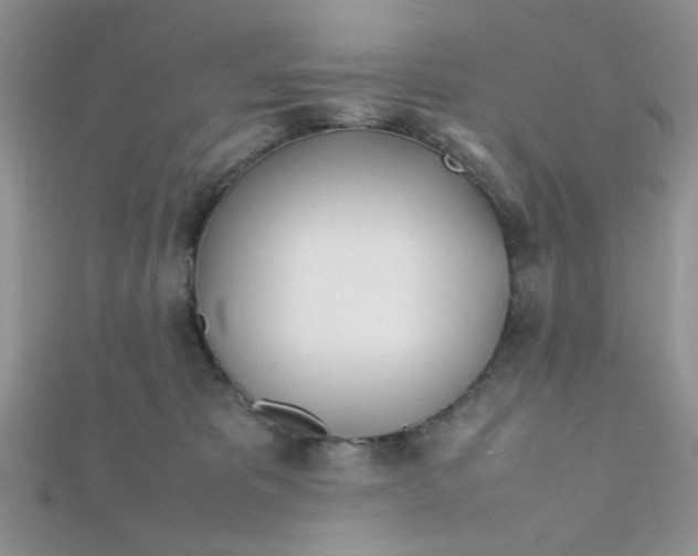 X0000112370325200909031936