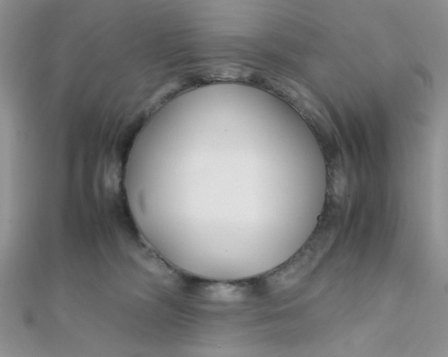 X0000112370326200909031936