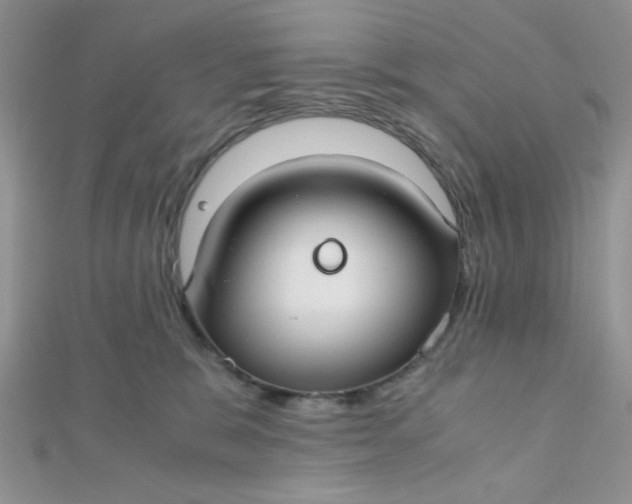 X0000112370327200909031936