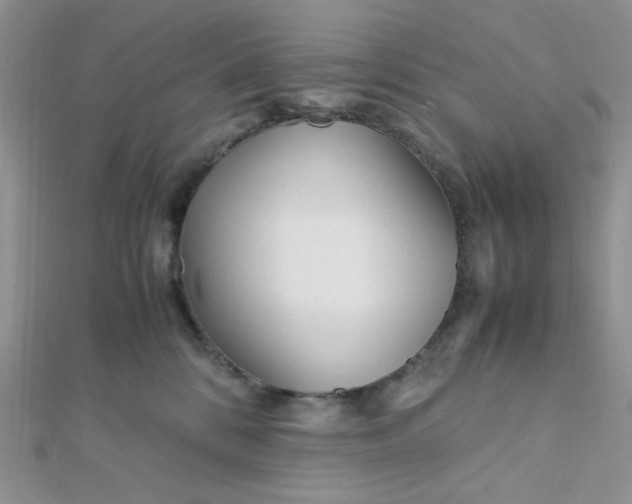 X0000112370328200909031936
