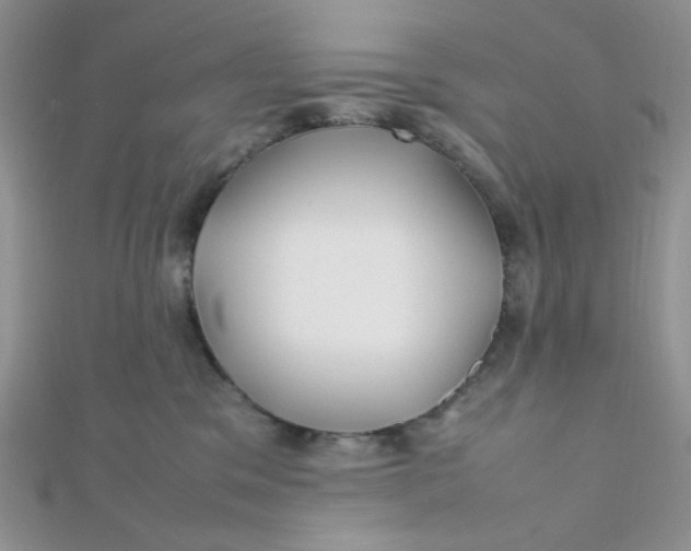 X0000112370329200909031936