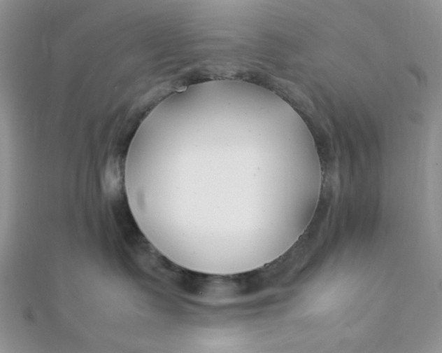 X0000112370335200909031936