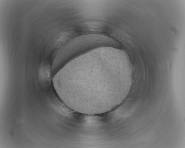 X0000112370336200909031936