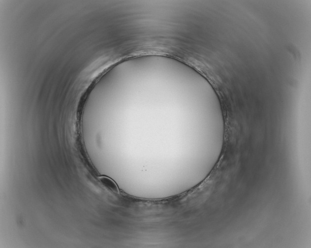 X0000112370338200909031936