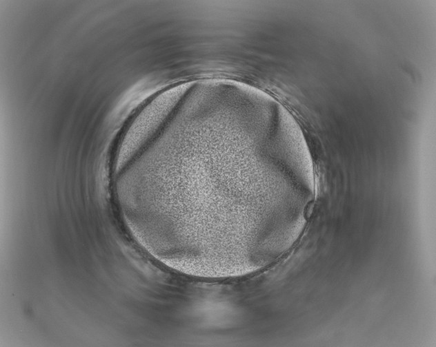 X0000112370339200909031936