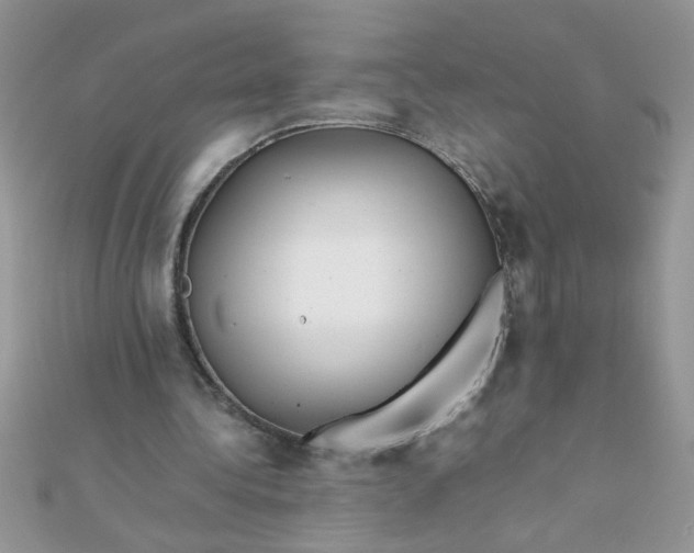X0000112370340200909031936