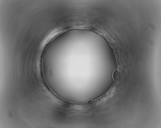 X0000112370341200909031936