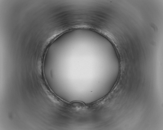 X0000112370345200909031936