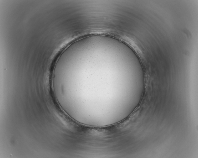 X0000112370346200909031936
