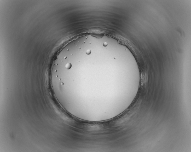 X0000112370349200909031936