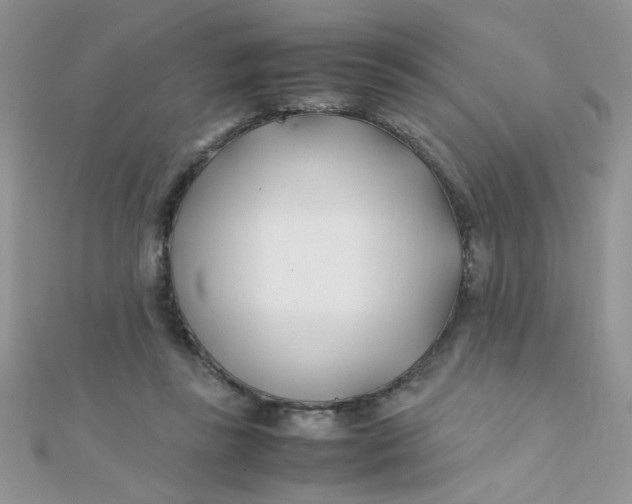 X0000112370355200909031936