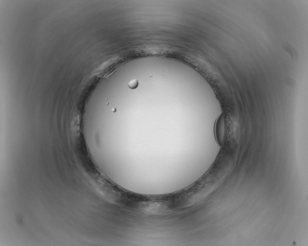 X0000112370356200909031936