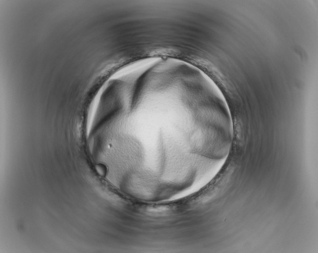 X0000112370357200909031936