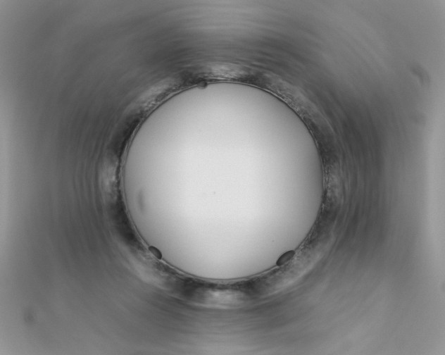 X0000112370360200909031936