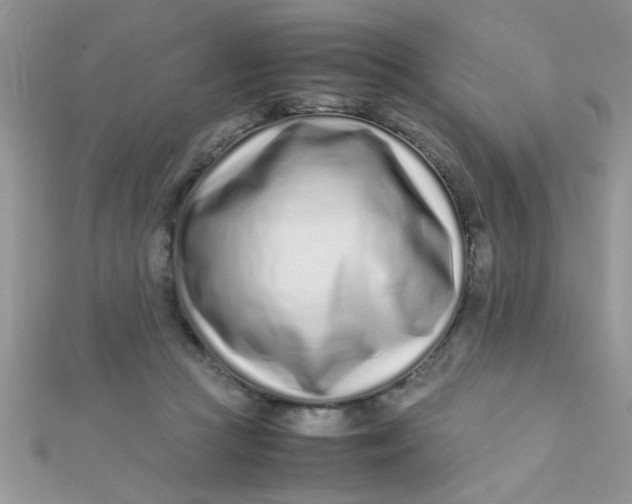 X0000112370361200909031936