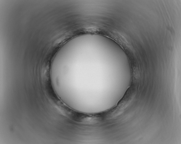 X0000112370364200909031936