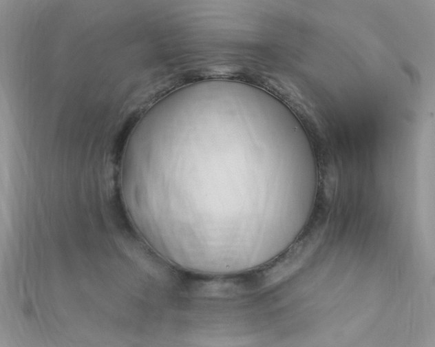 X0000112370366200909031936