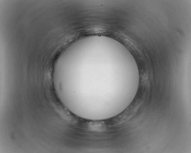 X0000112370373200909031936