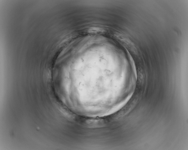 X0000112370375200909031936