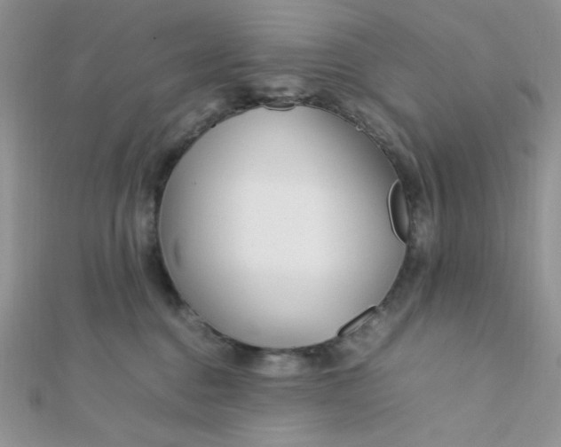 X0000112370376200909031936