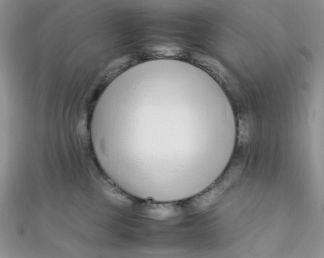 X0000112370377200909031936
