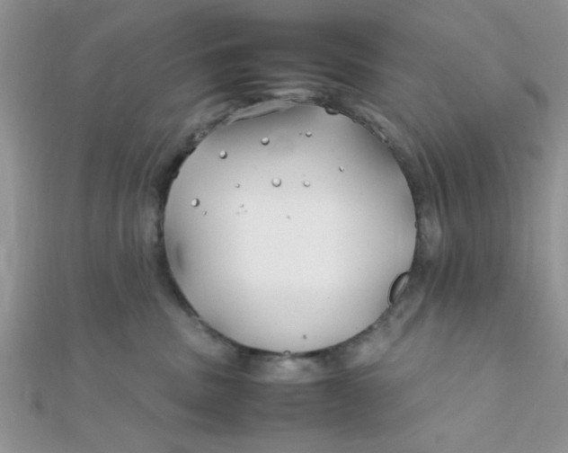 X0000112370379200909031936