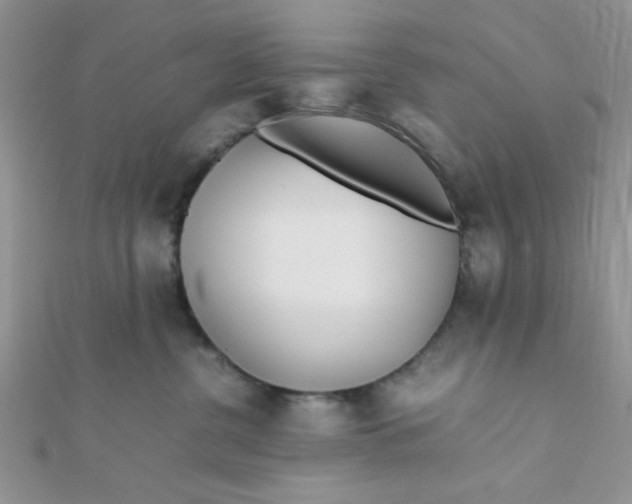 X0000112370380200909031936