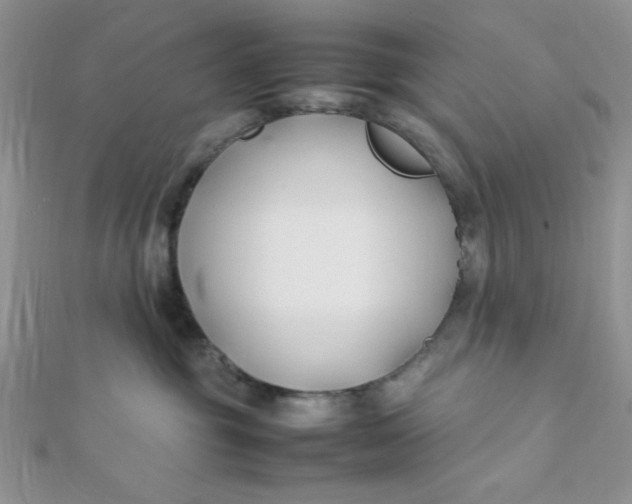 X0000112370381200909031936