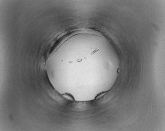 X0000112370384200909031936